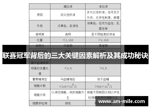 联赛冠军背后的三大关键因素解析及其成功秘诀 联赛冠军背后的三大关键因素解析及其成功秘诀