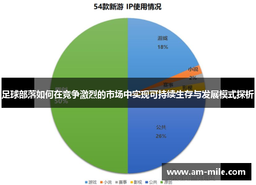 足球部落如何在竞争激烈的市场中实现可持续生存与发展模式探析 足球部落如何在竞争激烈的市场中实现可持续生存与发展模式探析