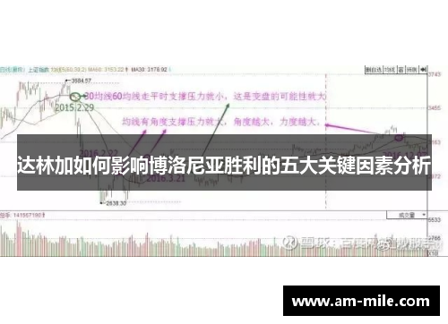 达林加如何影响博洛尼亚胜利的五大关键因素分析 达林加如何影响博洛尼亚胜利的五大关键因素分析