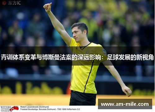 青训体系变革与博斯曼法案的深远影响：足球发展的新视角