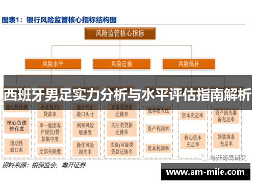 西班牙男足实力分析与水平评估指南解析