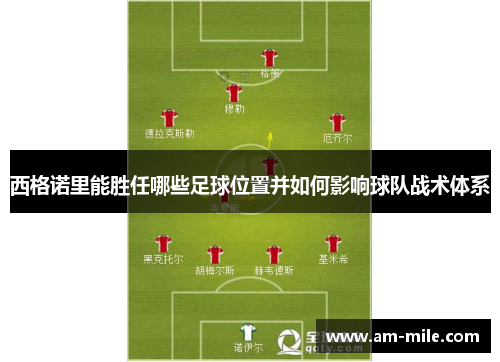 西格诺里能胜任哪些足球位置并如何影响球队战术体系 西格诺里能胜任哪些足球位置并如何影响球队战术体系