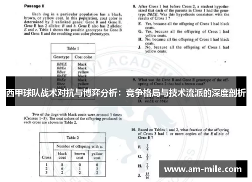西甲球队战术对抗与博弈分析：竞争格局与技术流派的深度剖析