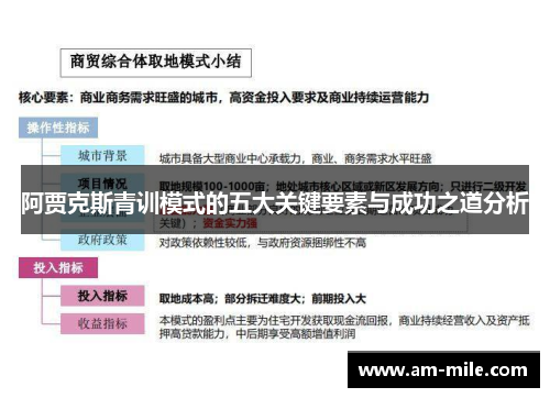 阿贾克斯青训模式的五大关键要素与成功之道分析 阿贾克斯青训模式的五大关键要素与成功之道分析