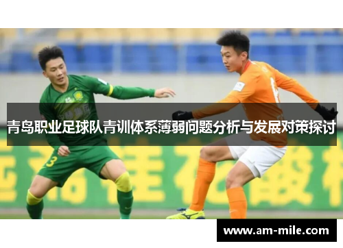 青岛职业足球队青训体系薄弱问题分析与发展对策探讨 青岛职业足球队青训体系薄弱问题分析与发展对策探讨